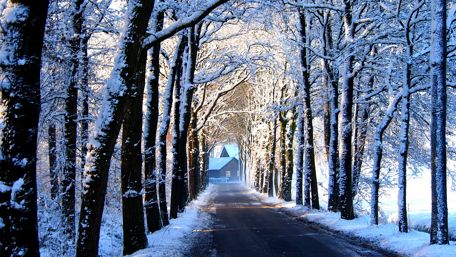 House at the end of the snowy road wallpaper