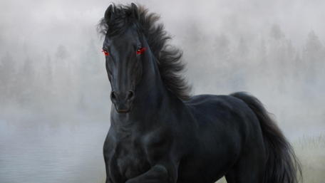 Black horse with red eyes wallpaper
