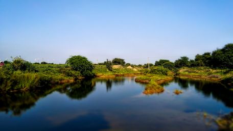 Pond in Pansada (India) wallpaper
