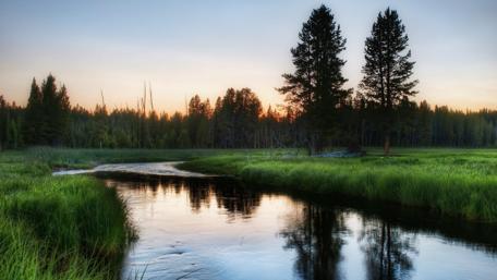 Fenino -  Moscow region, Russia wallpaper