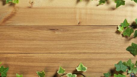 Natural Wood and Ivy Design Wallpaper wallpaper