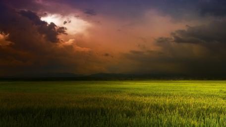Cloudy sky above the field wallpaper