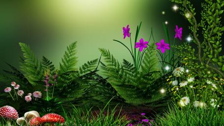 Mushroom and wildflower wallpaper