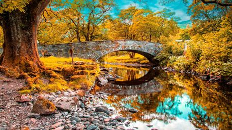 Autumn foliage above the stone bridge wallpaper