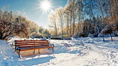Winter park in the sunshine wallpaper