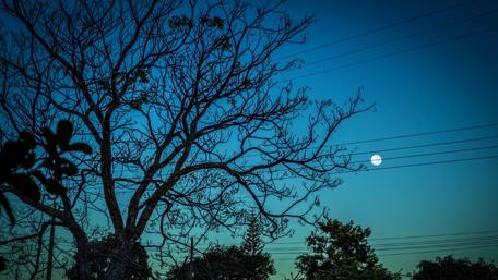 Full moon wallpaper