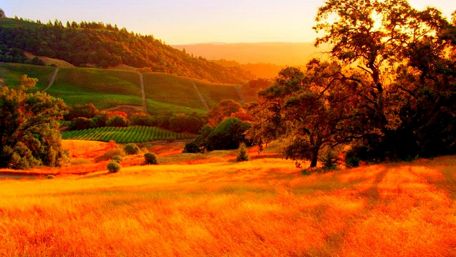 Sonoma Valley wallpaper