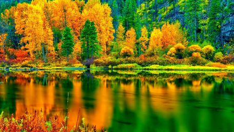 Beautiful autumn landscape wallpaper