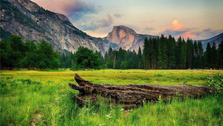 Half Dome from the Ahwahnee Meadow, Yosemite Valley wallpaper