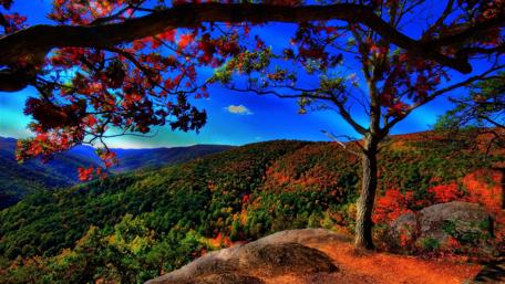 Beautiful autumn landscape wallpaper