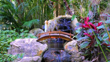 Serene Garden Bridge Under Tropical Canopy wallpaper