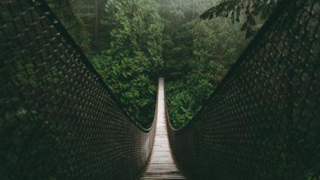 Lynn Canyon Suspension Bridge - British Columbia, Canada wallpaper