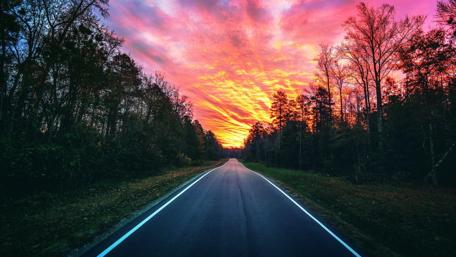 Forest road in the sunset wallpaper