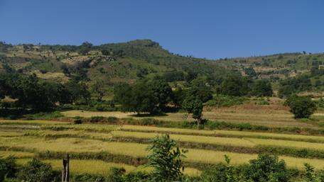 Araku Valley wallpaper