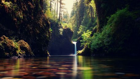 Serene Waterfall in Lush Green Wilderness wallpaper