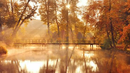 Autumn sunbeams wallpaper
