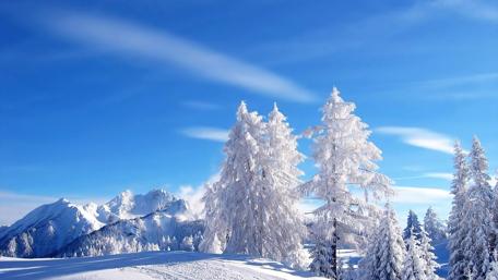 Winter blue sky wallpaper