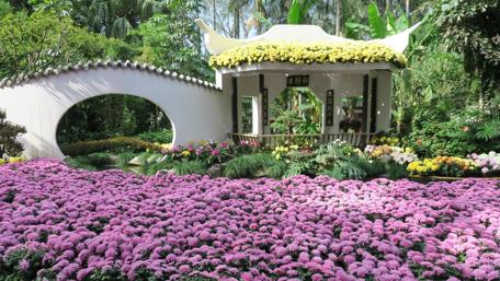 Chinese Garden wallpaper