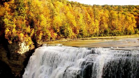 Waterfall in the autumn forest wallpaper