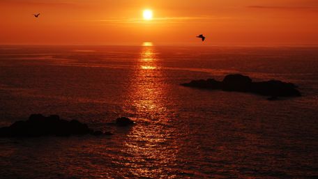 Sunset above the sea wallpaper