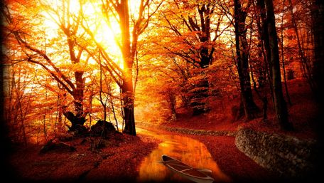 Autumn forest with a boat wallpaper