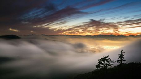 Night city in the fog wallpaper