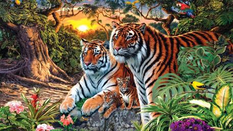 More than a tiger family in the jungel... wallpaper
