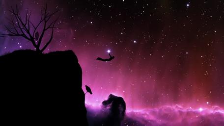 Salto wallpaper