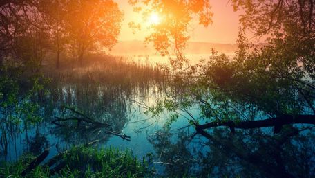 Inspiring sunrise wallpaper