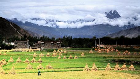 Tibetan village wallpaper