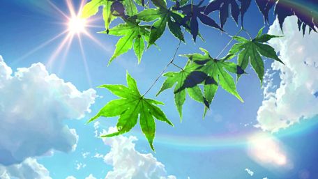 Anime Forest wallpaper