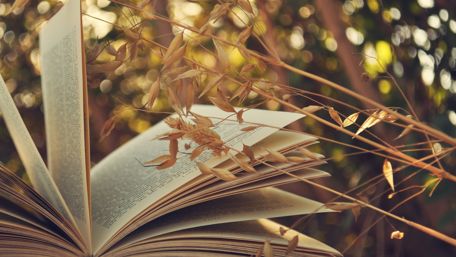 Open book wallpaper