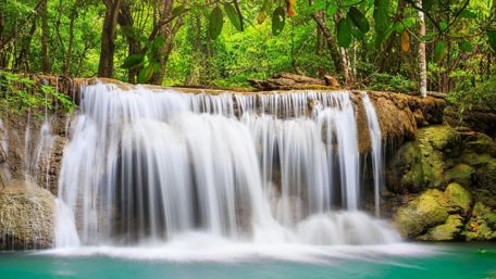Beautiful waterfall in the forest wallpaper