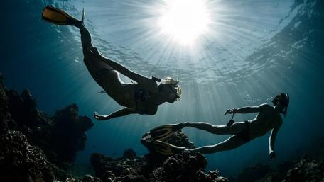 Divers wallpaper