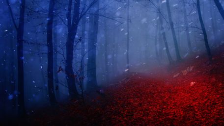 The winter has arrived wallpaper