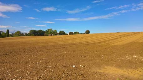 Rural area - San Claudio, Macerata, Italy wallpaper
