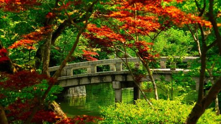 Japanese garden wallpaper