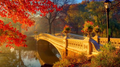 Bow Bridge - Central Park wallpaper
