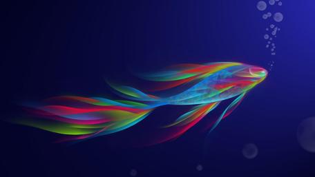 Colorful fish - Digital art wallpaper