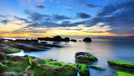 Mossy stones wallpaper