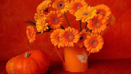 Vibrant Orange Floral Arrangement with Pumpkin wallpaper
