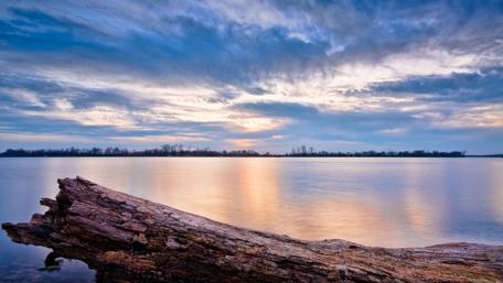 Tee trunk in the shore wallpaper