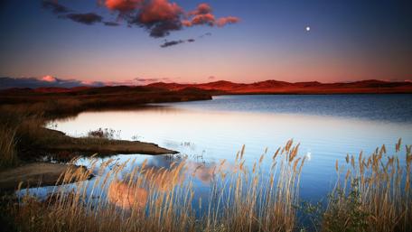 Mulan Weichang grassland wallpaper