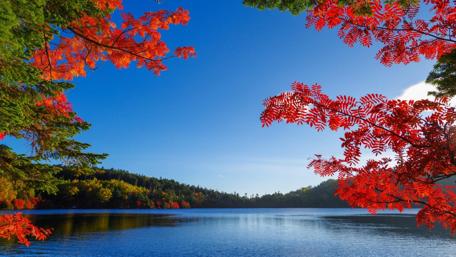 Autumn lake wallpaper