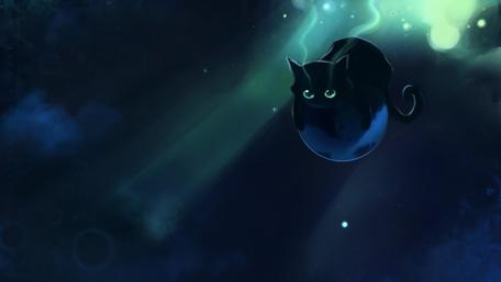Black space cat wallpaper