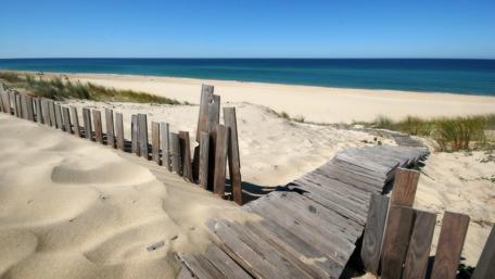 Beach boardwalk wallpaper