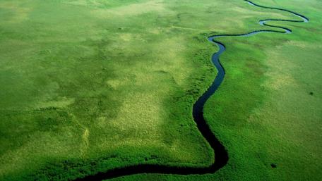 Serene Aerial View of Green Pastures and Meandering River wallpaper