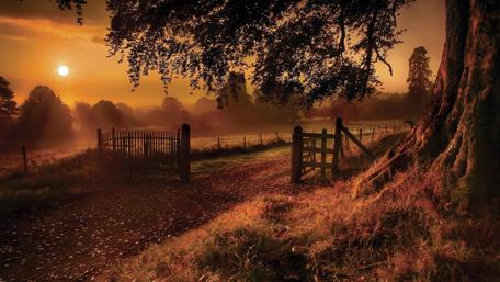 Dusk in the ranch wallpaper
