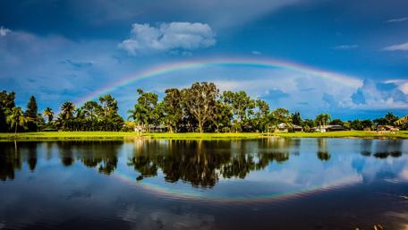 Rainbow wallpaper