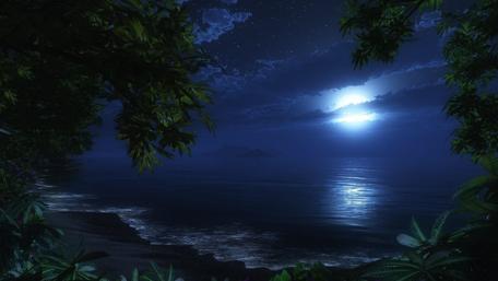 Tropical beach at night wallpaper